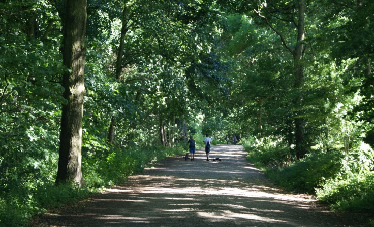 Two kids walking through the wood, one with a bike and another with a toy car.